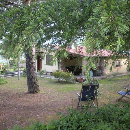 Le Stagioni Guest House Loreto Aprutino Ngoại thất bức ảnh